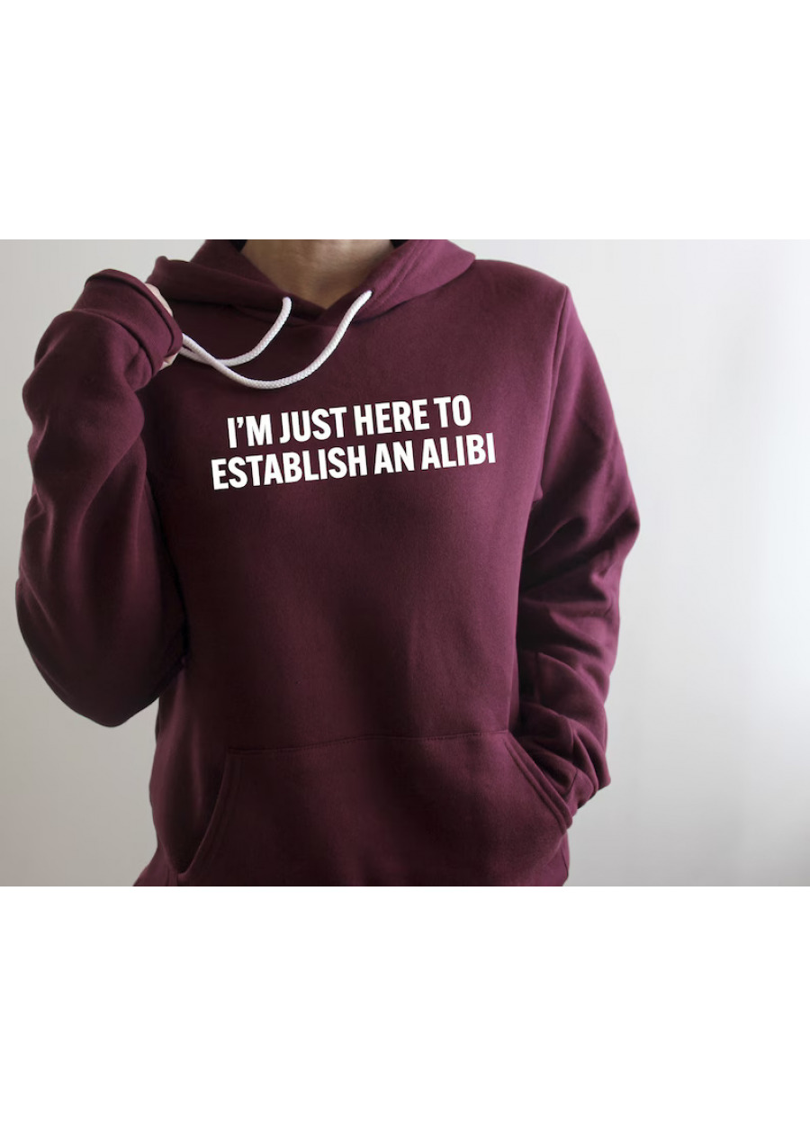 I'm Just Here to Establish an Alibi Hoodie: Sarcastic Adult Humor Sweatshirt