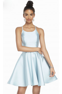 Sky Blue A-line Homecoming Dress,Under $100 Short Party Dress sd-025-5